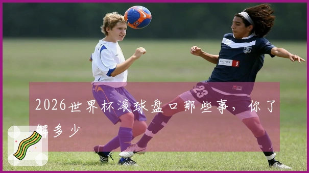 2026世界杯滚球盘口那些事，你了解多少