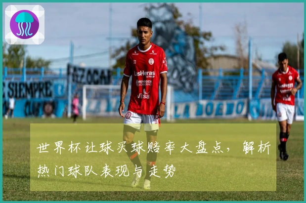 世界杯让球买球赔率大盘点，解析热门球队表现与走势