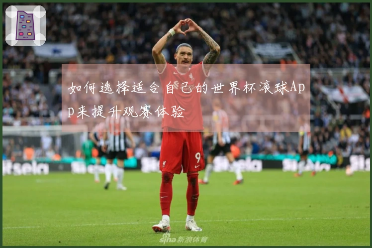 如何选择适合自己的世界杯滚球App来提升观赛体验