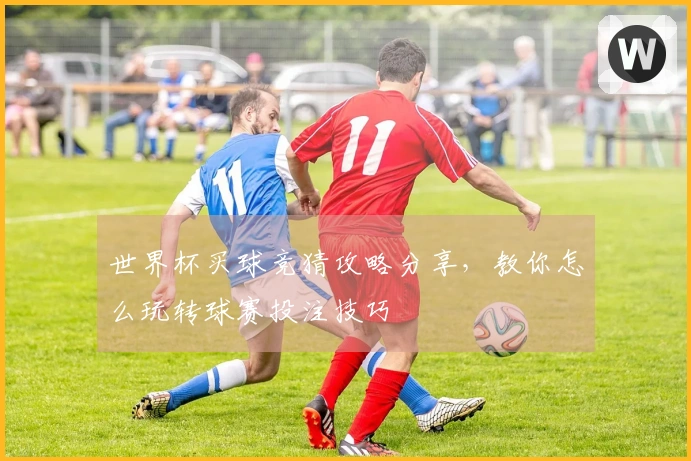 世界杯买球竞猜攻略分享，教你怎么玩转球赛投注技巧