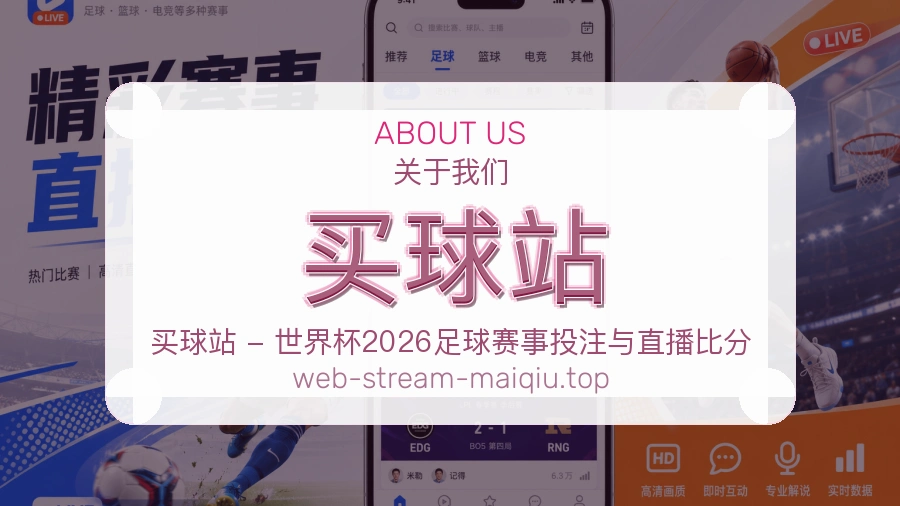 关于 买球站 团队与服务